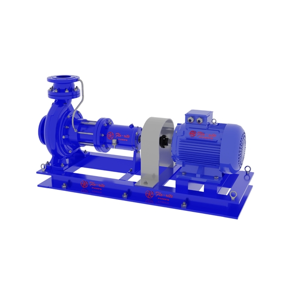 Dry Self Priming Pump as per API 610