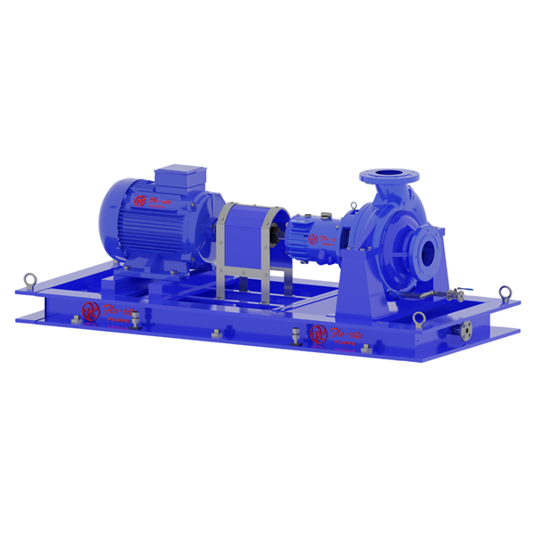 Chemical Process Pump as per API 610