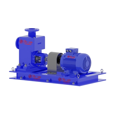 Self Priming Horizontal Pump with Priming Attachment